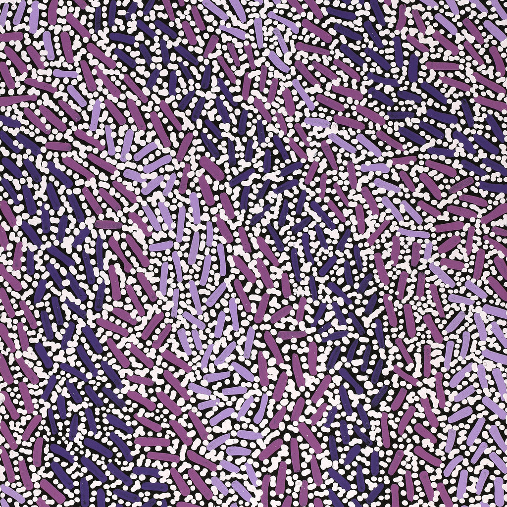 Aboriginal Artwork by Nathania Nangala Granites, Warlukurlangu Jukurrpa (Fire country Dreaming), 76x30cm
