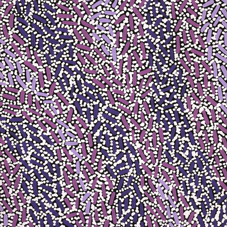 Aboriginal Artwork by Nathania Nangala Granites, Warlukurlangu Jukurrpa (Fire country Dreaming), 76x30cm