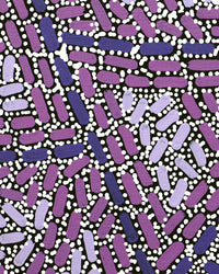 Aboriginal Artwork by Nathania Nangala Granites, Warlukurlangu Jukurrpa (Fire country Dreaming), 122x107cm