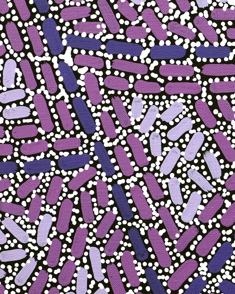 Aboriginal Artwork by Nathania Nangala Granites, Warlukurlangu Jukurrpa (Fire country Dreaming), 122x107cm