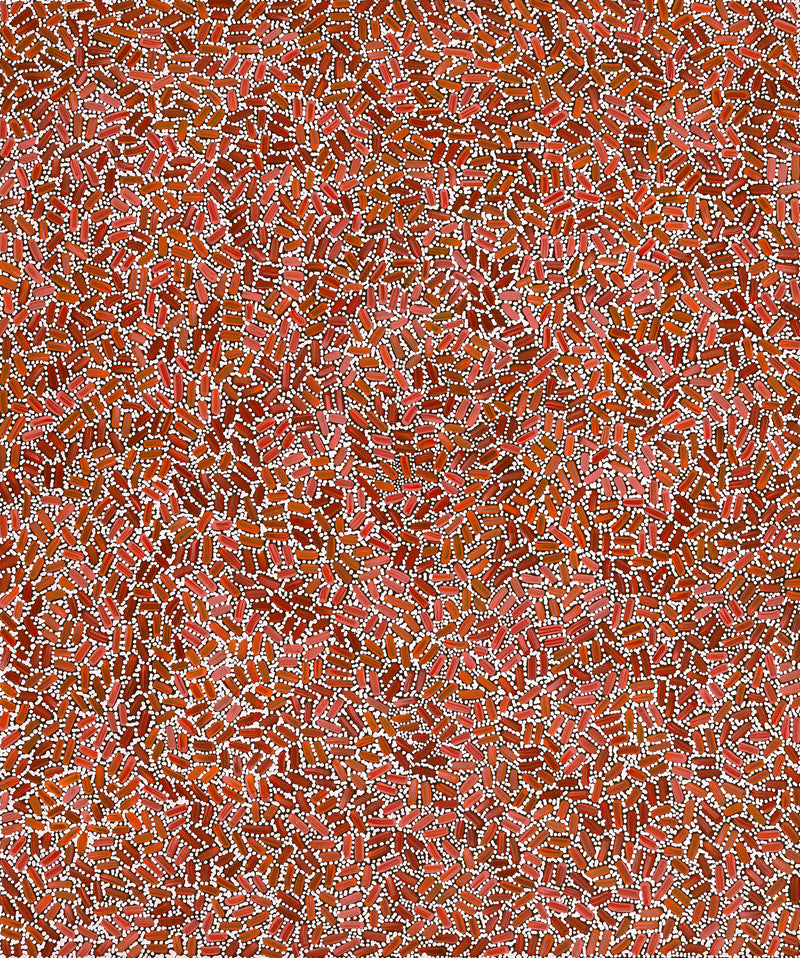 Aboriginal Artwork by Nathania Nangala Granites, Warlukurlangu Jukurrpa (Fire country Dreaming), 91x76cm