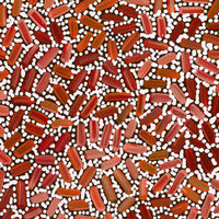 Aboriginal Artwork by Nathania Nangala Granites, Warlukurlangu Jukurrpa (Fire country Dreaming), 91x76cm