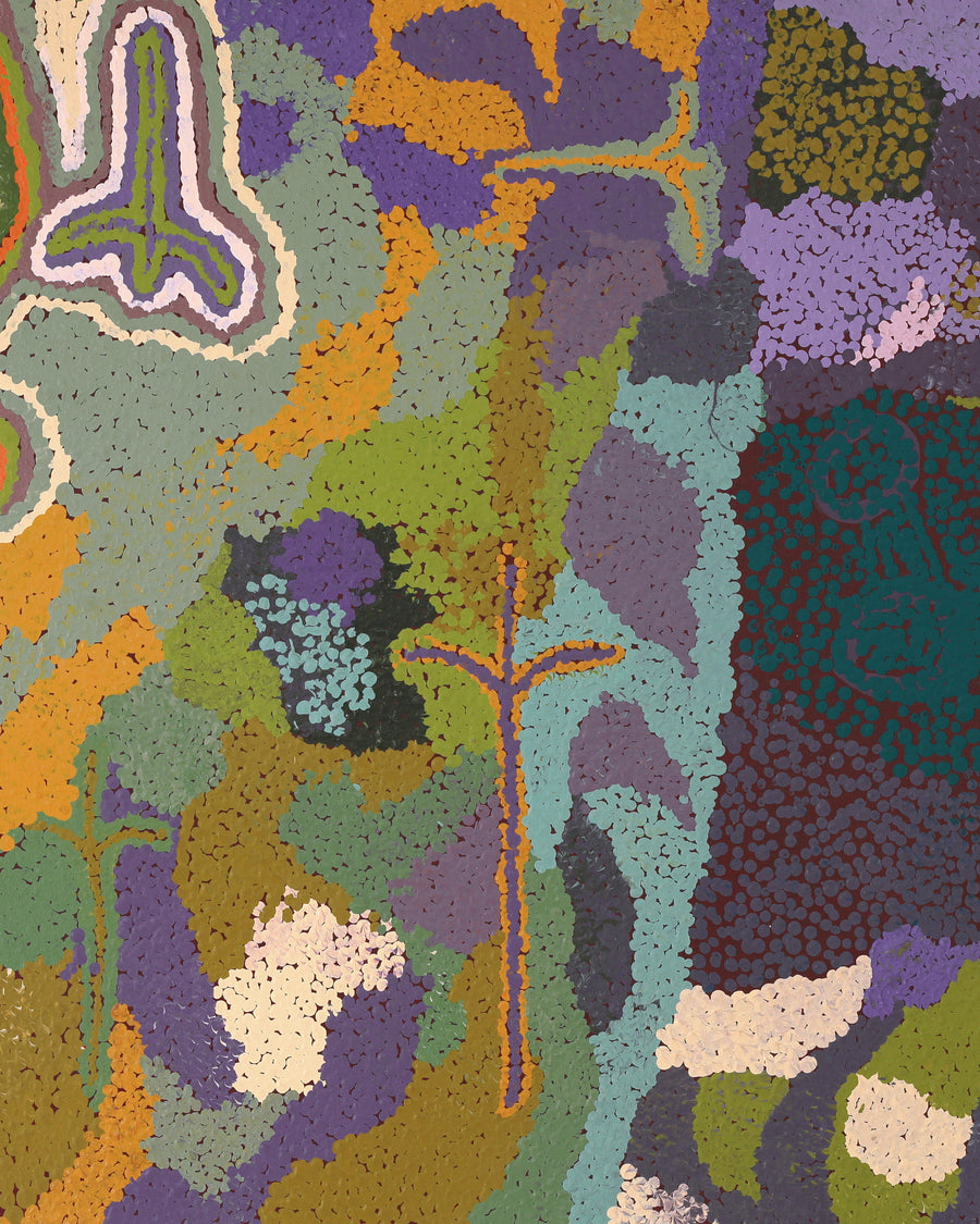 Aboriginal Artwork by Ngamaru Bidu, Wantili, 152x76cm