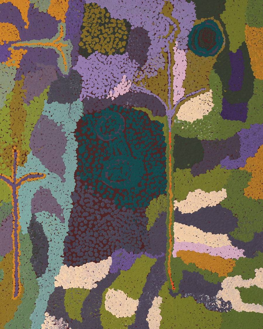 Aboriginal Artwork by Ngamaru Bidu, Wantili, 152x76cm