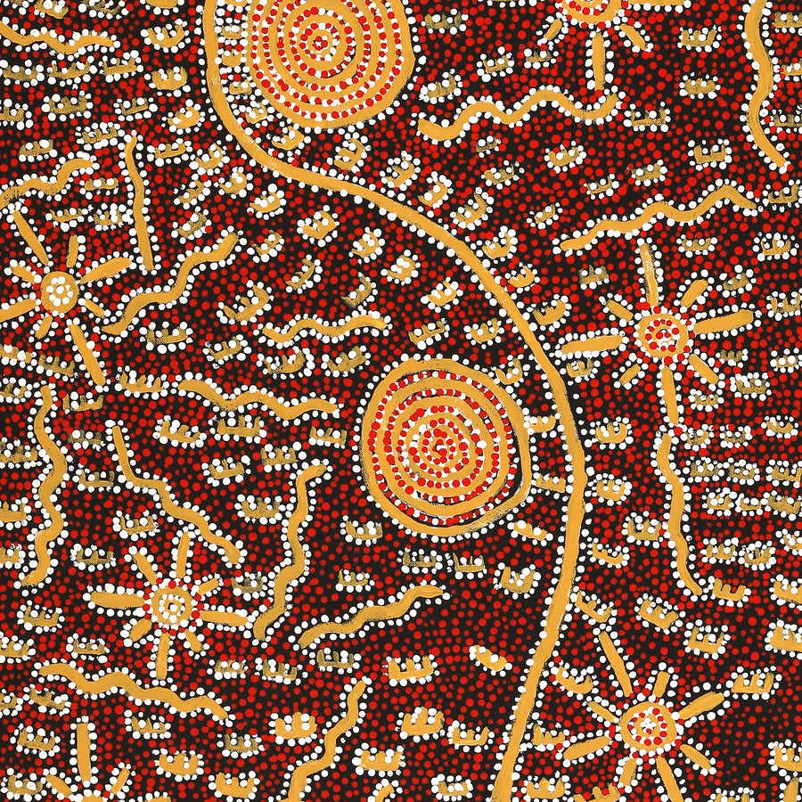 Aboriginal Artwork by Nigel Japanangka Marshall, Lappi Lappi Jukurrpa, 107x46cm