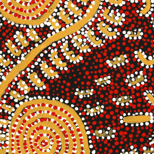 Aboriginal Art by Nigel Japanangka Marshall, Lappi Lappi Jukurrpa, 107x46cm - ART ARK®