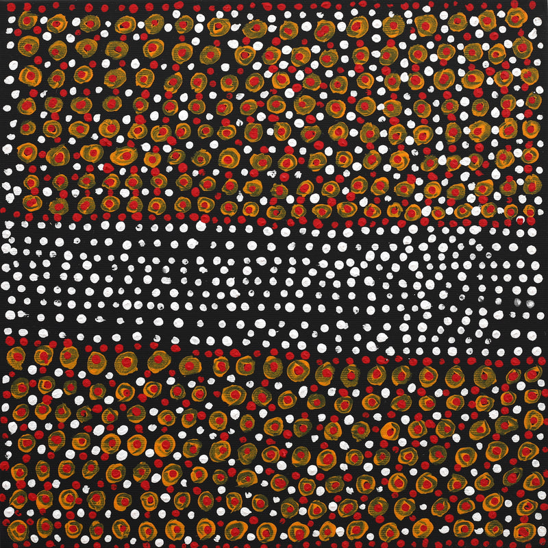 Aboriginal Artwork by Nigel Japanangka Marshall, Lappi Lappi Jukurrpa (Lappi Lappi Dreaming), 30x30cm