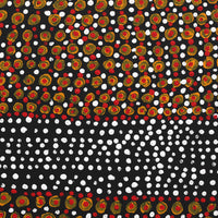Aboriginal Artwork by Nigel Japanangka Marshall, Lappi Lappi Jukurrpa (Lappi Lappi Dreaming), 30x30cm