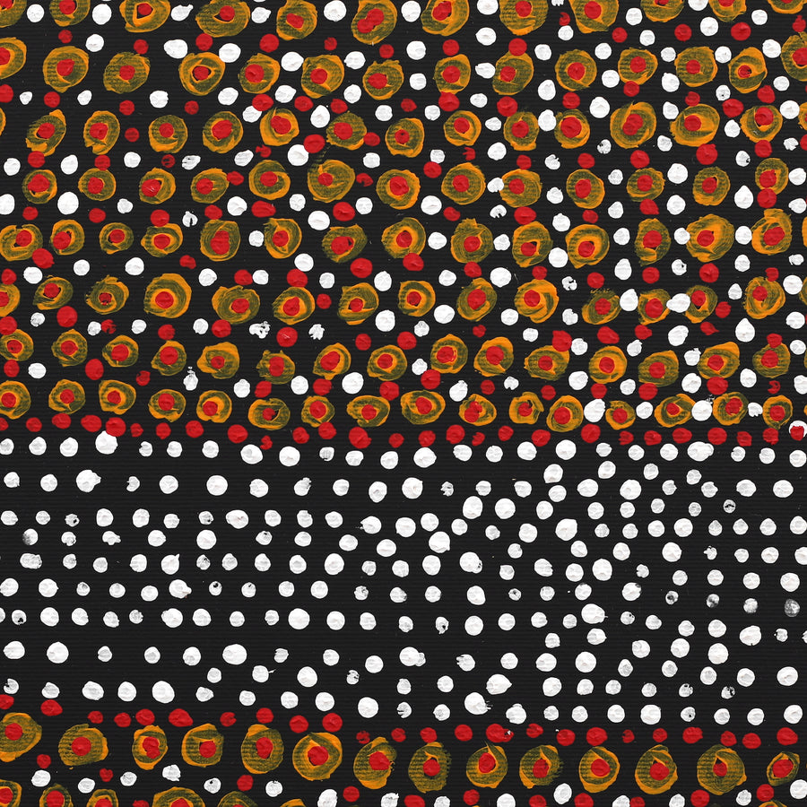 Aboriginal Artwork by Nigel Japanangka Marshall, Lappi Lappi Jukurrpa (Lappi Lappi Dreaming), 30x30cm