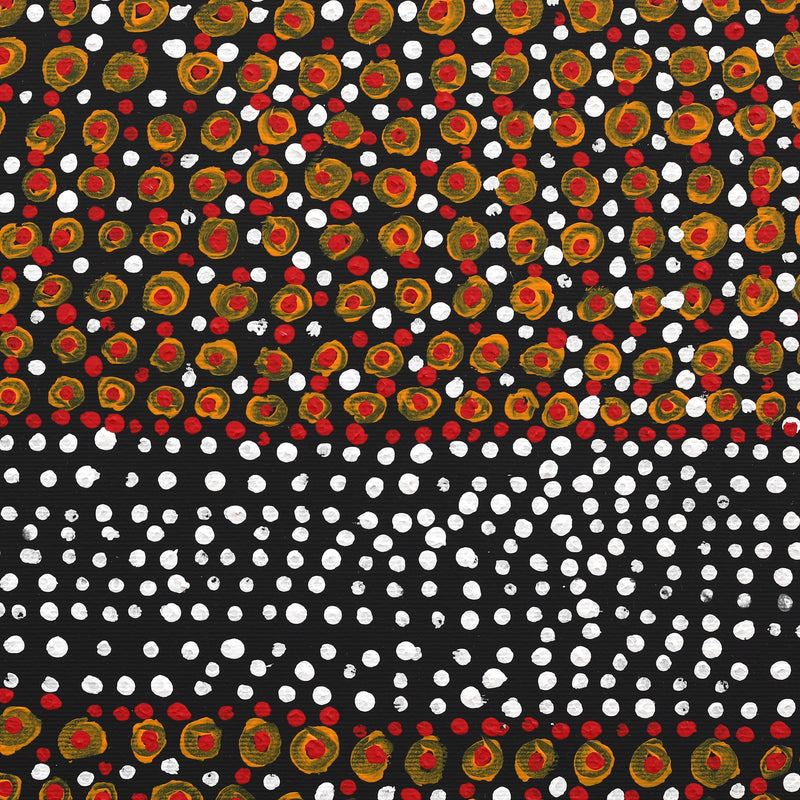 Aboriginal Artwork by Nigel Japanangka Marshall, Lappi Lappi Jukurrpa (Lappi Lappi Dreaming), 30x30cm