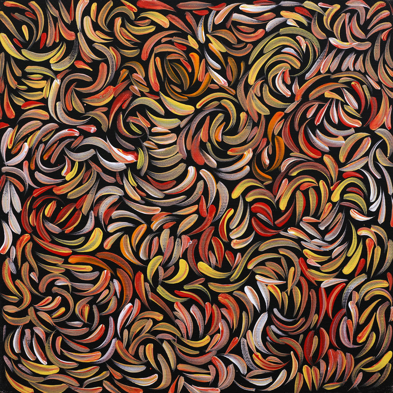 Aboriginal Artwork by Nola Napangardi Fisher, Purrpalanji (Skinny Bush Banana) Jukurrpa, 30x30cm
