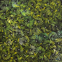 Aboriginal Artwork by Nola Napangardi Fisher, Purrpalanji (Skinny Bush Banana) Jukurrpa, 40x40cm
