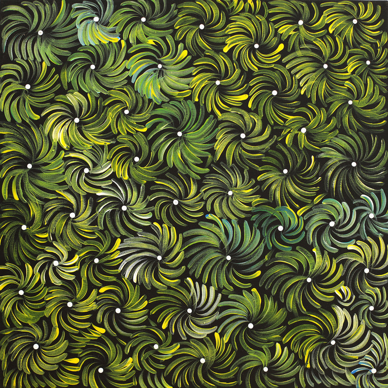 Aboriginal Artwork by Nola Napangardi Fisher, Purrpalanji (Skinny Bush Banana) Jukurrpa, 40x40cm