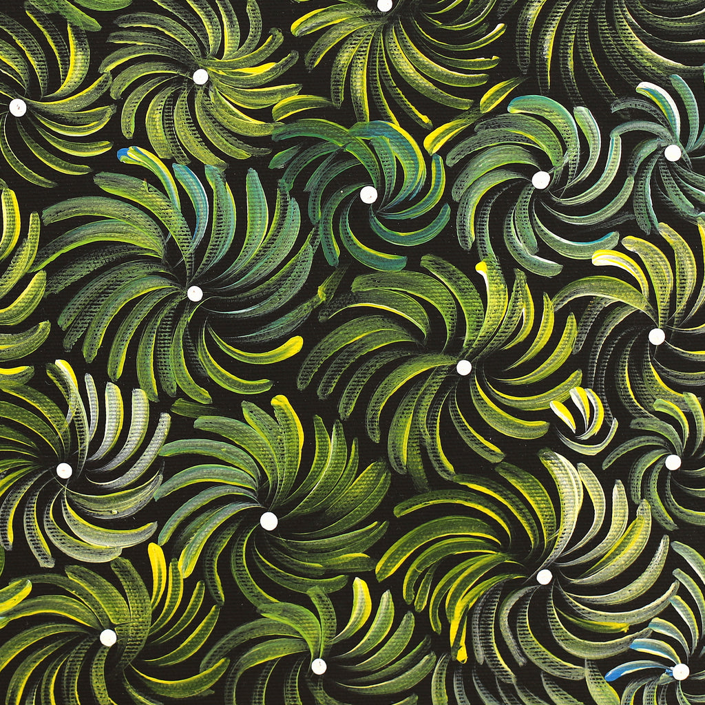 Aboriginal Artwork by Nola Napangardi Fisher, Purrpalanji (Skinny Bush Banana) Jukurrpa, 40x40cm