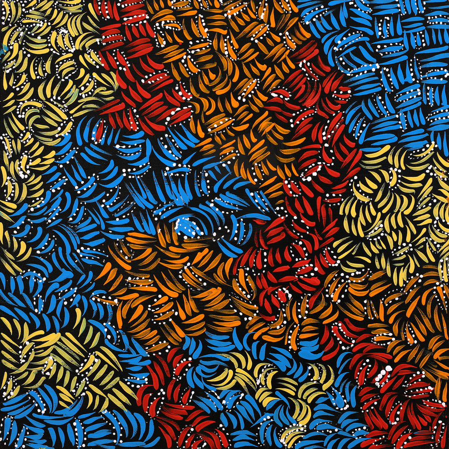 Aboriginal Artwork by Nola Napangardi Fisher, Purrpalanji (Skinny Bush Banana) Jukurrpa, 40x40cm