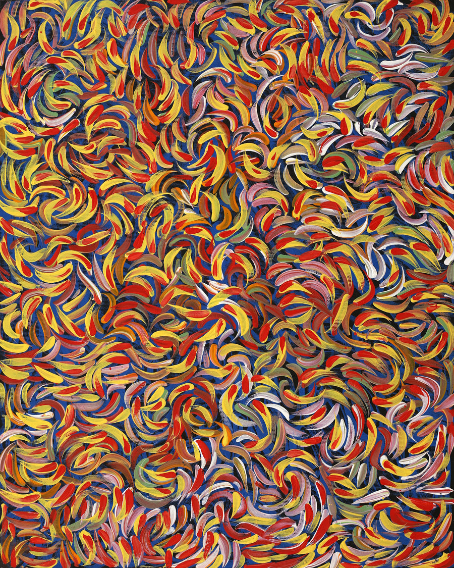 Aboriginal Artwork by Nola Napangardi Fisher, Purrpalanji (Skinny Bush Banana) Jukurrpa, 50x40cm