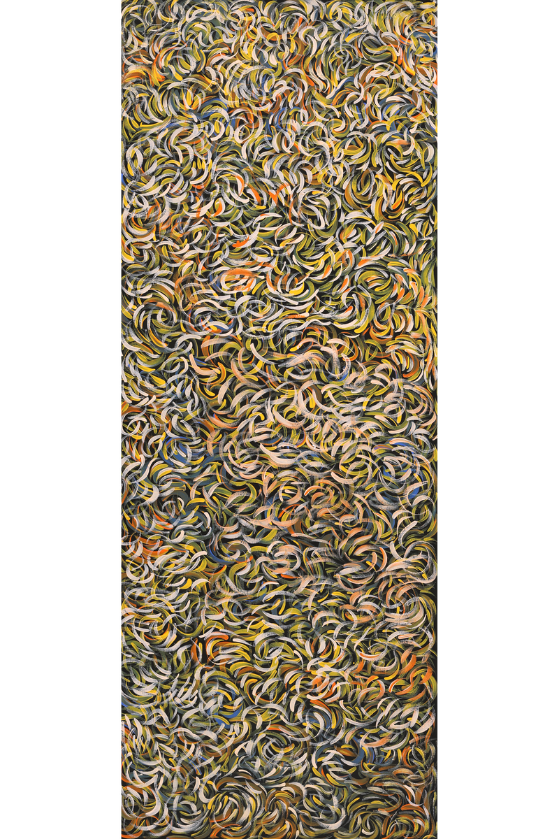 Aboriginal Art by Nola Napangardi Fisher, Purrpalanji (Skinny Bush Banana) Jukurrpa, 122x46cm - ART ARK®