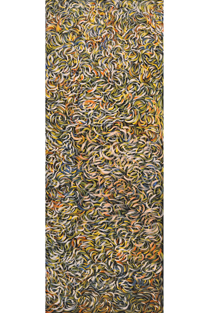 Aboriginal Artwork by Nola Napangardi Fisher, Purrpalanji (Skinny Bush Banana) Jukurrpa, 122x46cm