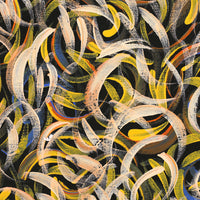 Aboriginal Artwork by Nola Napangardi Fisher, Purrpalanji (Skinny Bush Banana) Jukurrpa, 122x46cm