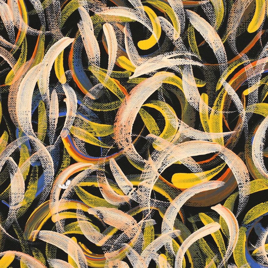 Aboriginal Artwork by Nola Napangardi Fisher, Purrpalanji (Skinny Bush Banana) Jukurrpa, 122x46cm