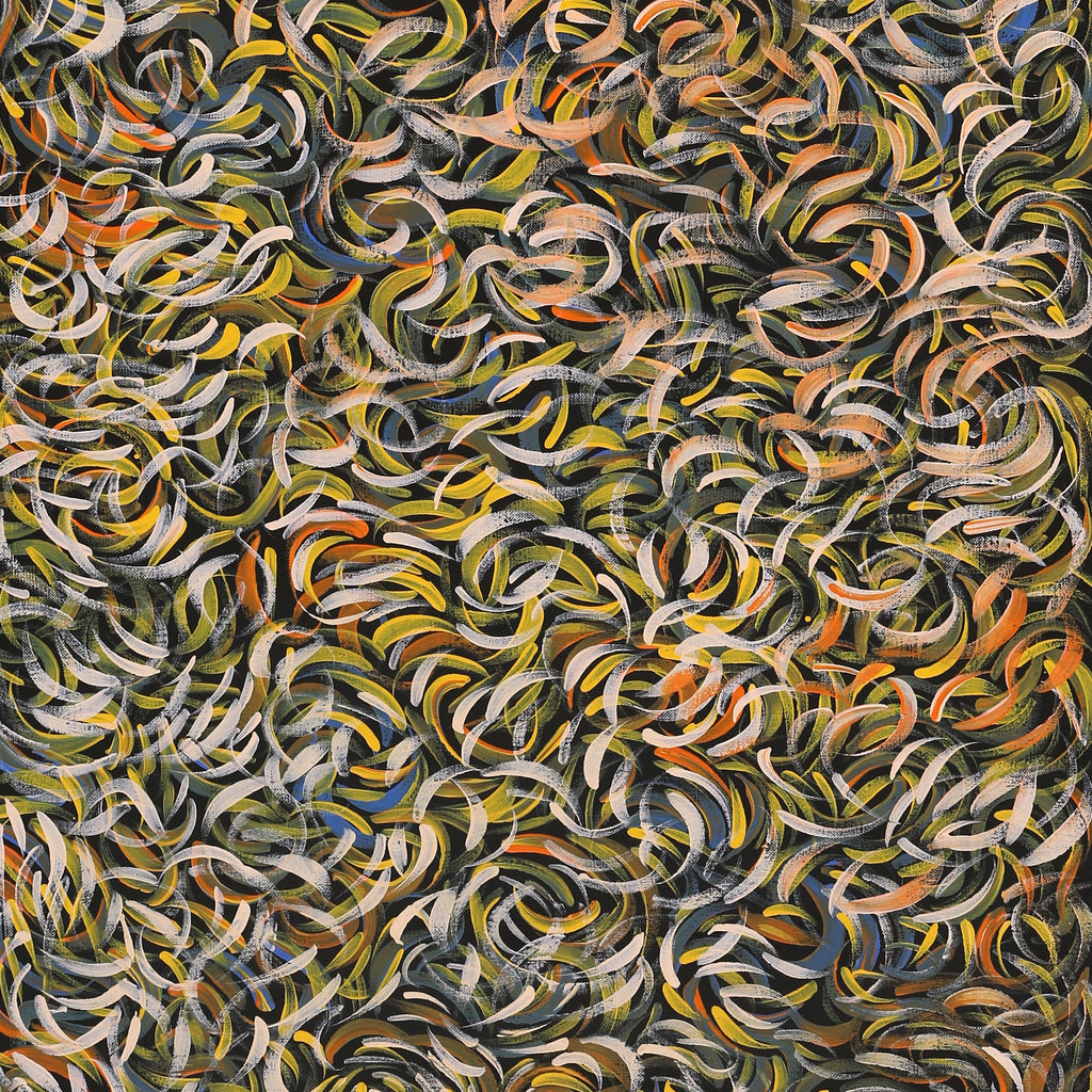 Aboriginal Artwork by Nola Napangardi Fisher, Purrpalanji (Skinny Bush Banana) Jukurrpa, 122x46cm