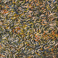 Aboriginal Artwork by Nola Napangardi Fisher, Purrpalanji (Skinny Bush Banana) Jukurrpa, 122x46cm