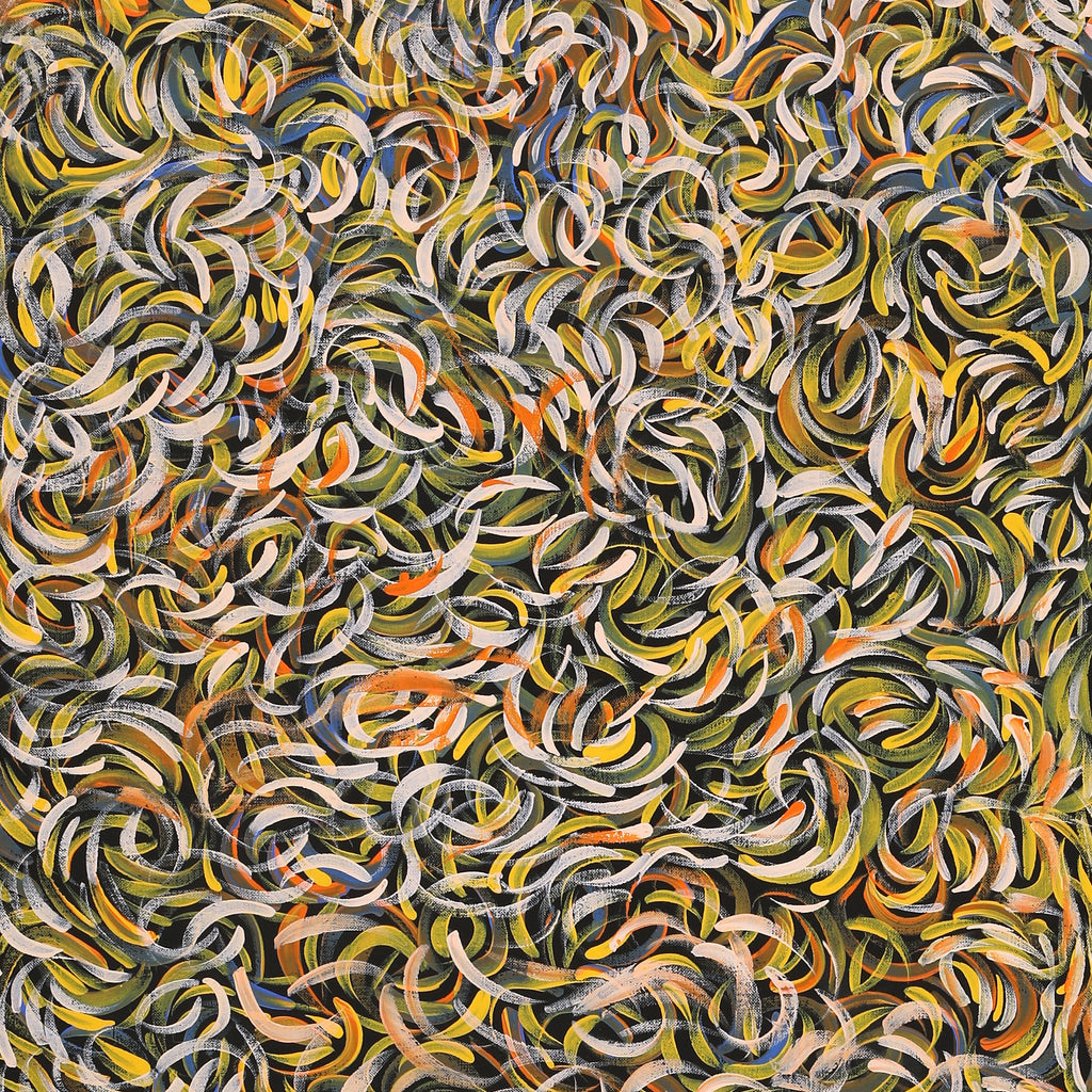 Aboriginal Artwork by Nola Napangardi Fisher, Purrpalanji (Skinny Bush Banana) Jukurrpa, 122x46cm