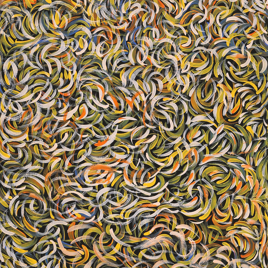 Aboriginal Artwork by Nola Napangardi Fisher, Purrpalanji (Skinny Bush Banana) Jukurrpa, 122x46cm