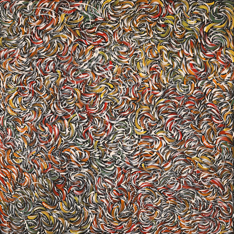 Aboriginal Artwork by Nola Napangardi Fisher, Purrpalanji (Skinny Bush Banana) Jukurrpa, 76x76cm