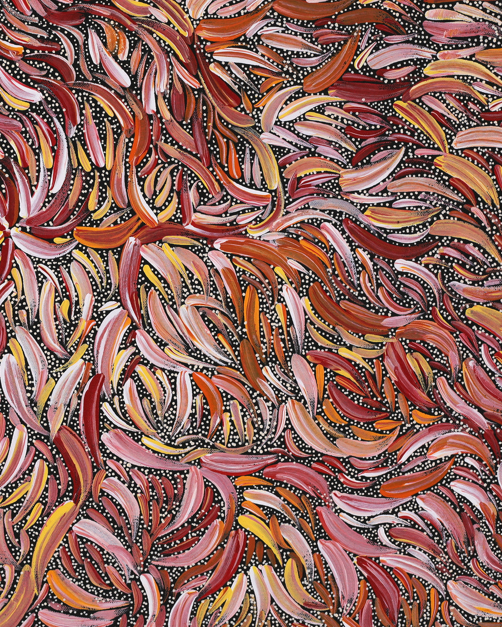 Aboriginal Artwork by Nola Napangardi Fisher, Purrpalanji (Skinny Bush Banana) Jukurrpa, 61x46cm