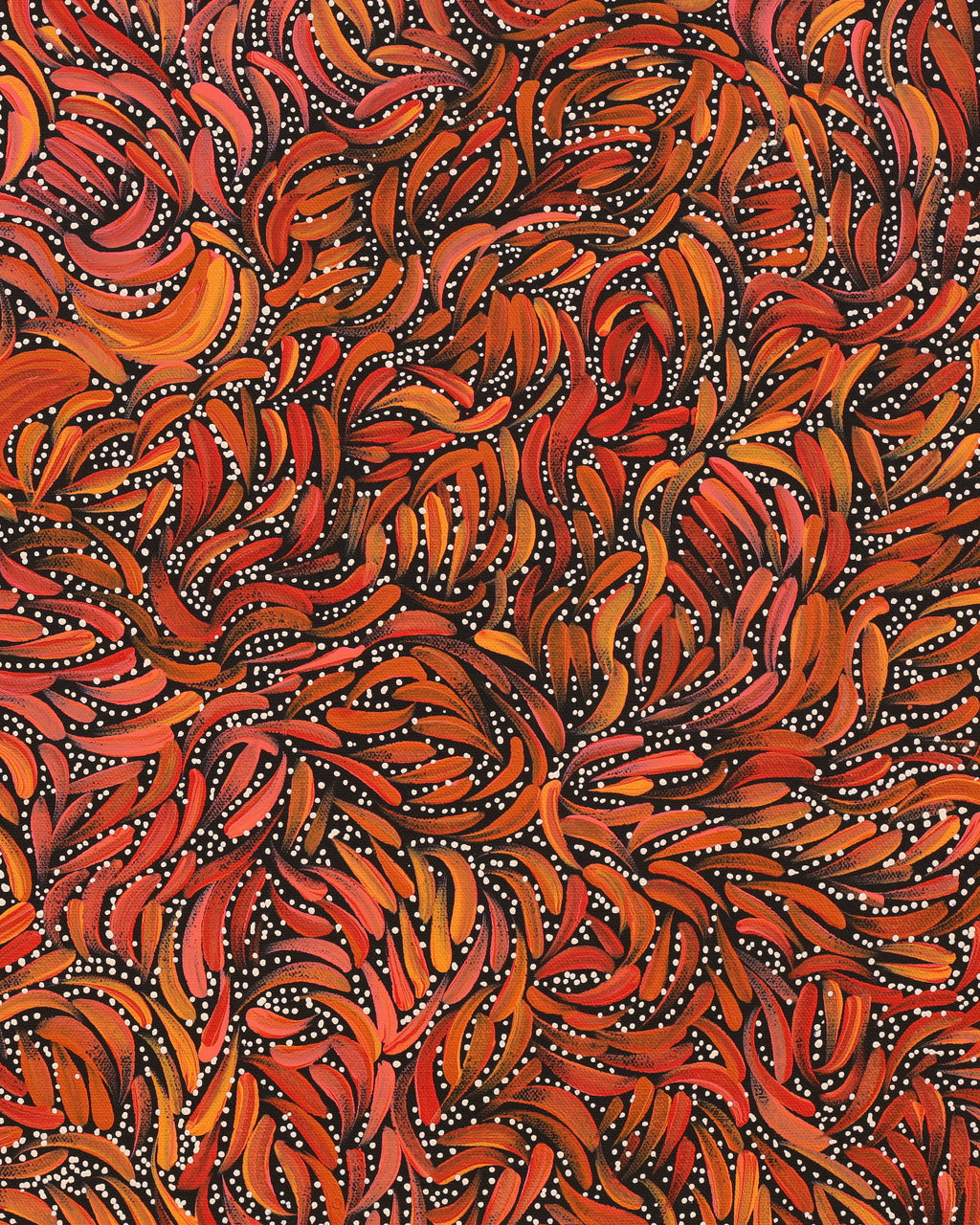 Aboriginal Artwork by Nola Napangardi Fisher, Purrpalanji (Skinny Bush Banana) Jukurrpa, 61x46cm