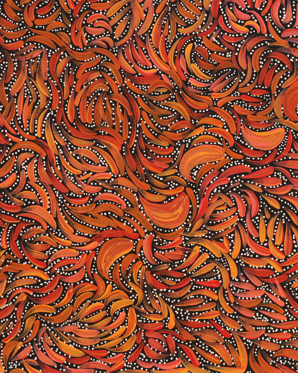 Aboriginal Artwork by Nola Napangardi Fisher, Purrpalanji (Skinny Bush Banana) Jukurrpa, 61x46cm
