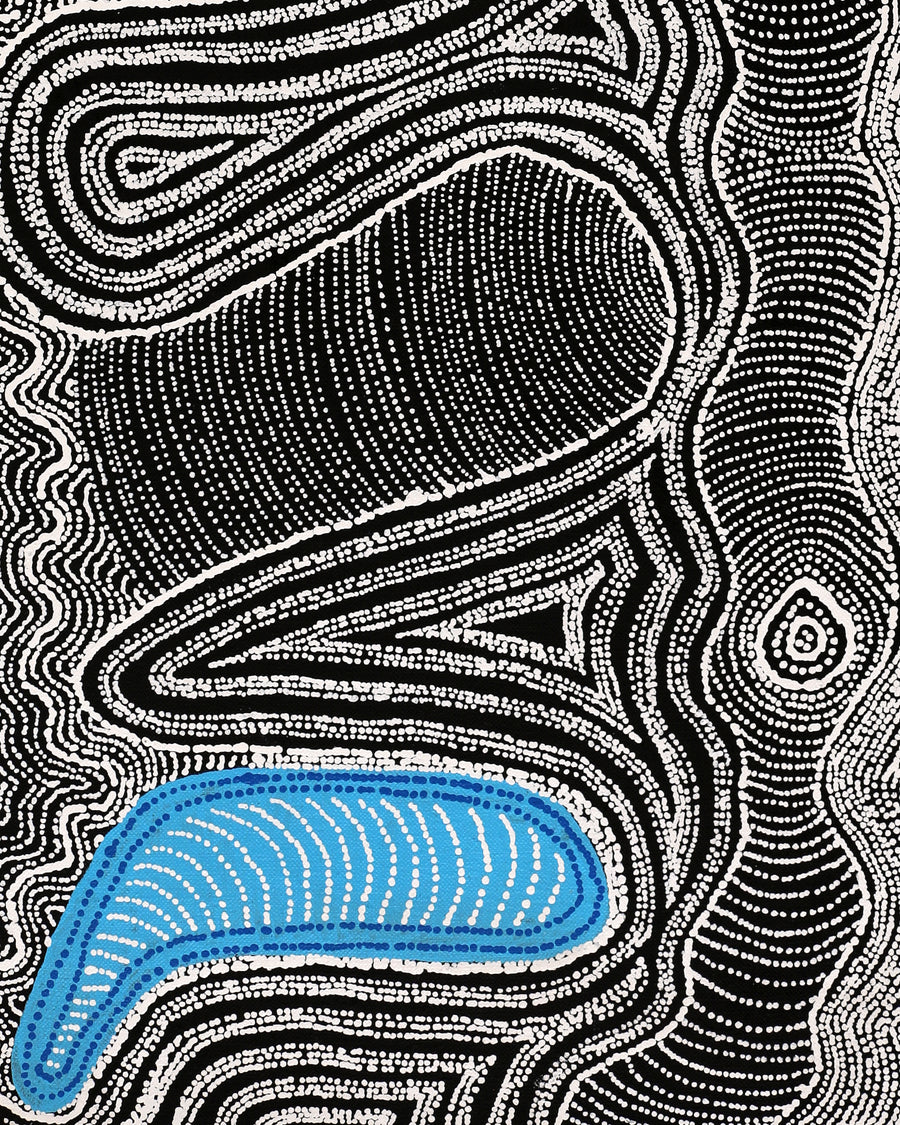 Aboriginal Artwork by Norissa Nampijinpa Watson, Ngapa Jukurrpa (Water Dreaming) - Puyurru, 76x30