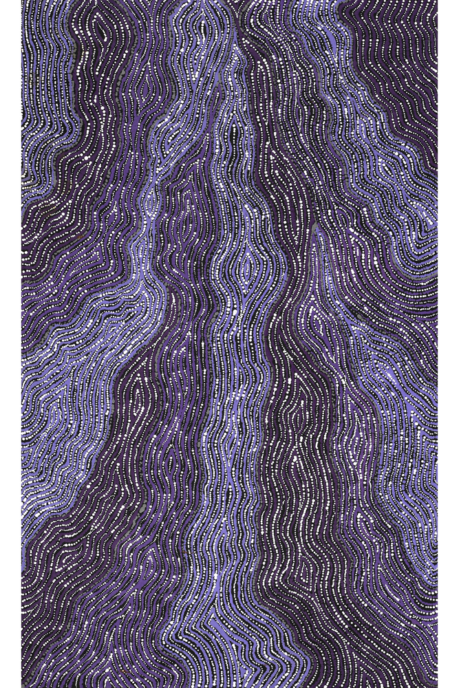 Aboriginal Artwork by Norissa Nampijinpa Watson, Ngapa Jukurrpa (Water Dreaming) - Puyurru, 76x46cm