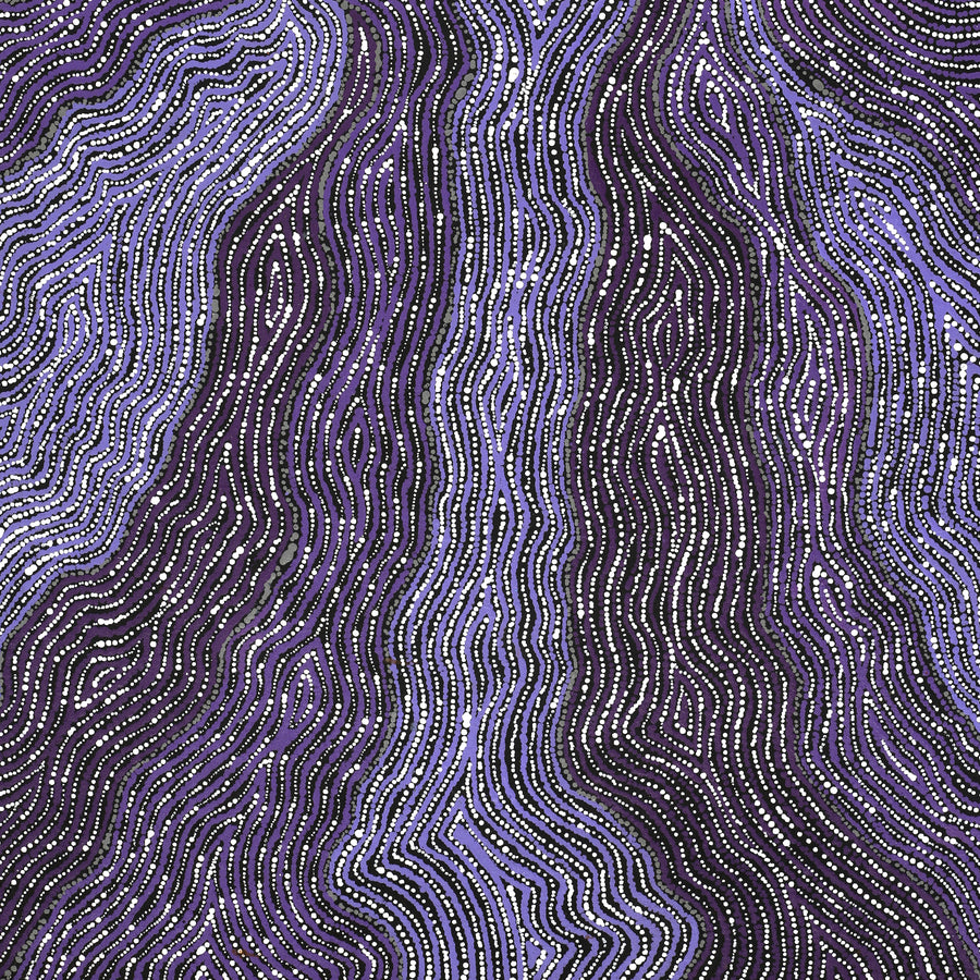 Aboriginal Artwork by Norissa Nampijinpa Watson, Ngapa Jukurrpa (Water Dreaming) - Puyurru, 76x46cm