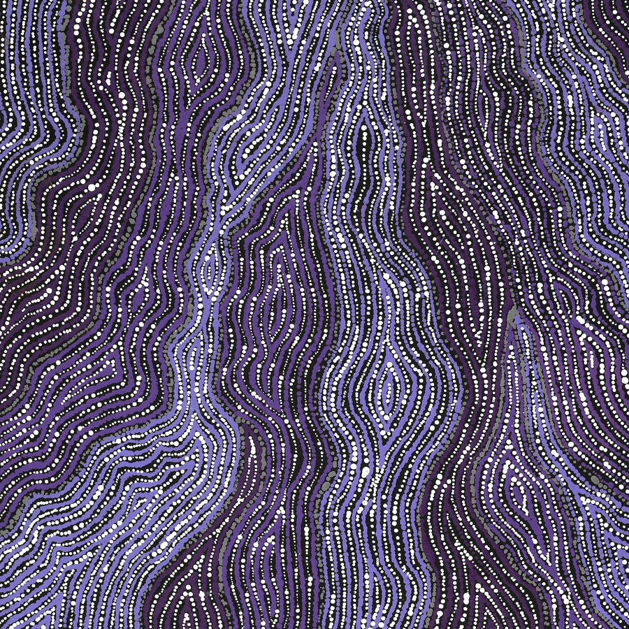 Aboriginal Artwork by Norissa Nampijinpa Watson, Ngapa Jukurrpa (Water Dreaming) - Puyurru, 76x46cm