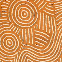 Aboriginal Artwork by Omay Nampijinpa Gallagher, Yankirri Jukurrpa (Emu Dreaming) - Ngarlikurlangu, 122x46cm