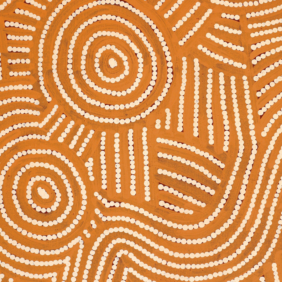 Aboriginal Artwork by Omay Nampijinpa Gallagher, Yankirri Jukurrpa (Emu Dreaming) - Ngarlikurlangu, 122x46cm