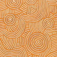 Aboriginal Artwork by Omay Nampijinpa Gallagher, Yankirri Jukurrpa (Emu Dreaming) - Ngarlikurlangu, 122x46cm