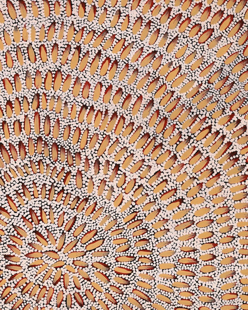Aboriginal Artwork by Patricia Nakamarra Oldfield, Karnta Jukurrpa (Women's Dreaming) - Bush Medicine, 61x46cm