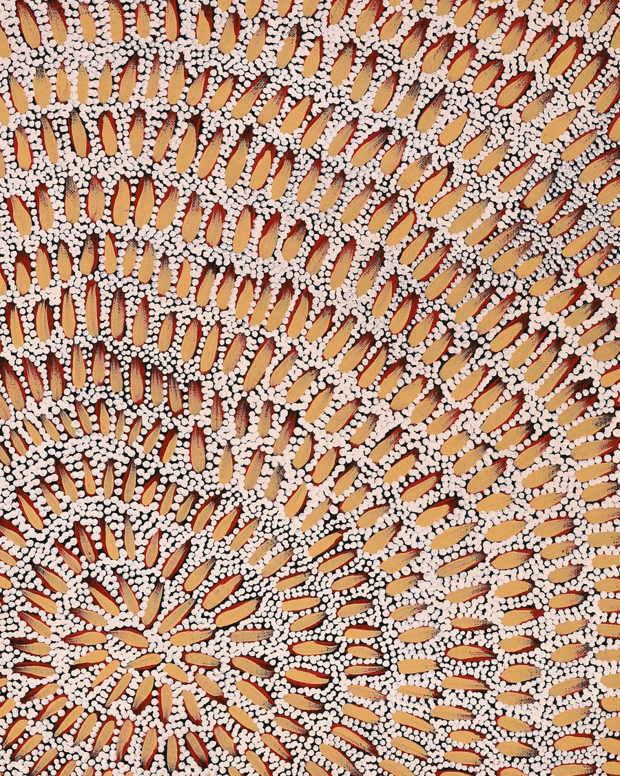 Aboriginal Artwork by Patricia Nakamarra Oldfield, Karnta Jukurrpa (Women's Dreaming) - Bush Medicine, 61x46cm