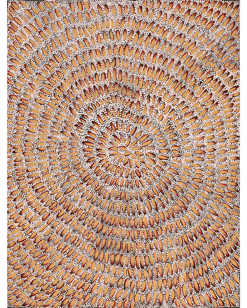 Aboriginal Artwork by Patricia Nakamarra Oldfield, Karnta Jukurrpa (Women's Dreaming) - Bush Medicine, 61x46cm