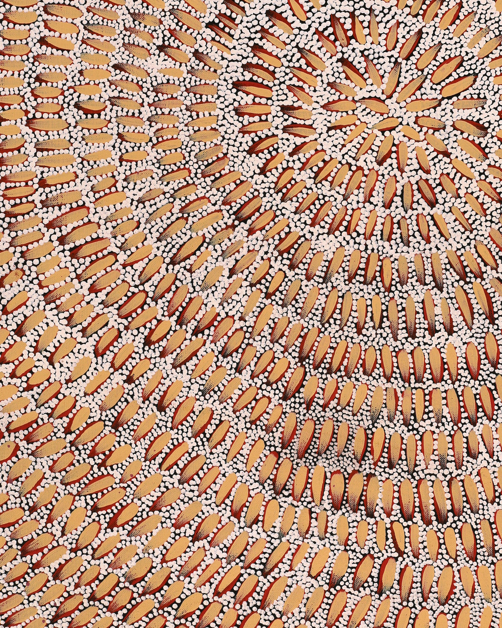 Aboriginal Artwork by Patricia Nakamarra Oldfield, Karnta Jukurrpa (Women's Dreaming) - Bush Medicine, 61x46cm