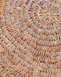 Aboriginal Artwork by Patricia Nakamarra Oldfield, Karnta Jukurrpa (Women's Dreaming) - Bush Medicine, 61x46cm