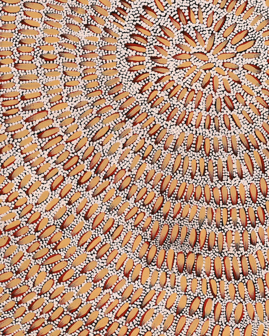Aboriginal Artwork by Patricia Nakamarra Oldfield, Karnta Jukurrpa (Women's Dreaming) - Bush Medicine, 61x46cm
