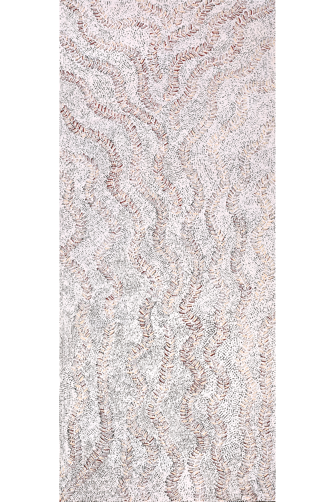 Aboriginal Artwork by Patricia Nakamarra Oldfield, Karnta Jukurrpa (Women's Dreaming) - Bush Medicine, 107x46cm