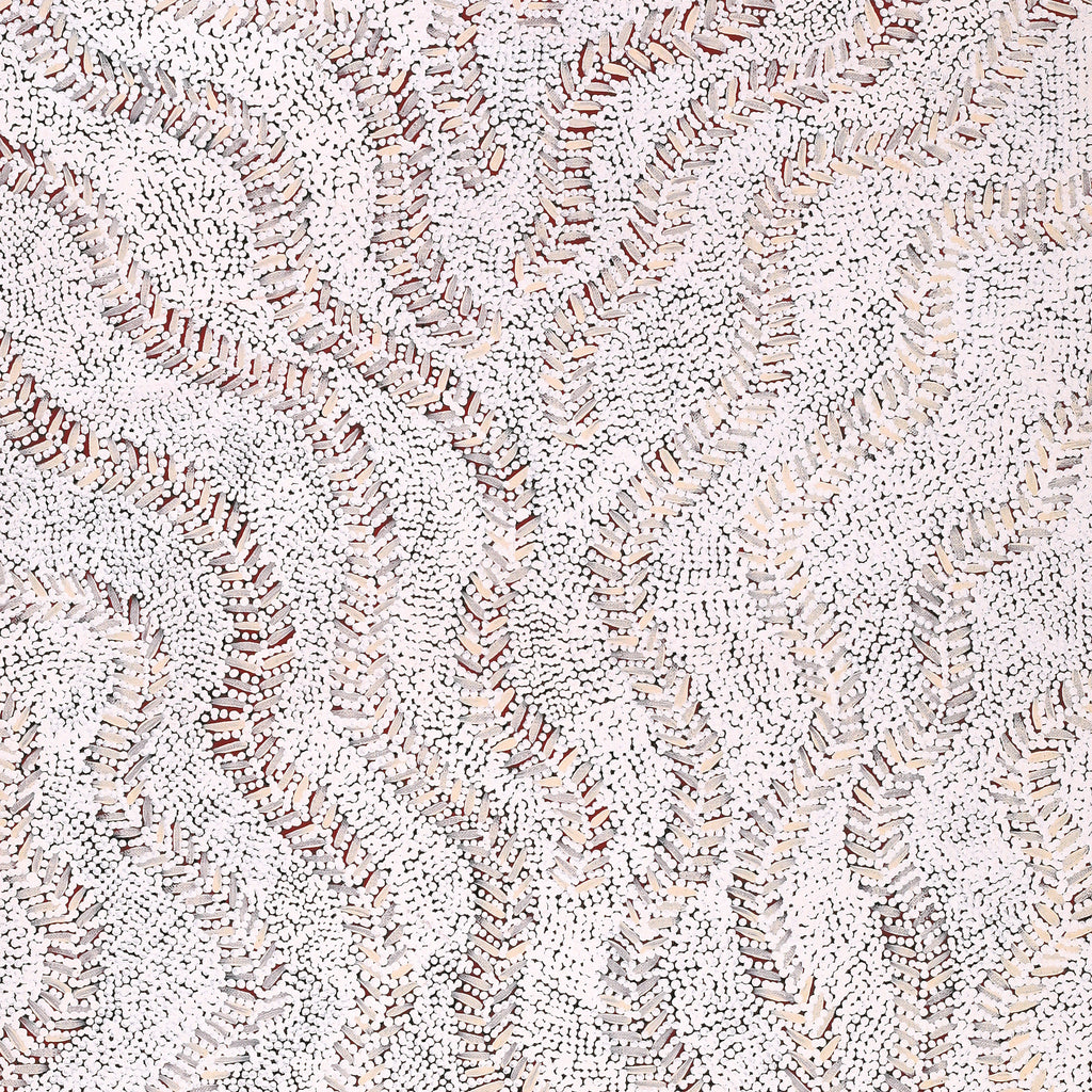Aboriginal Artwork by Patricia Nakamarra Oldfield, Karnta Jukurrpa (Women's Dreaming) - Bush Medicine, 107x46cm