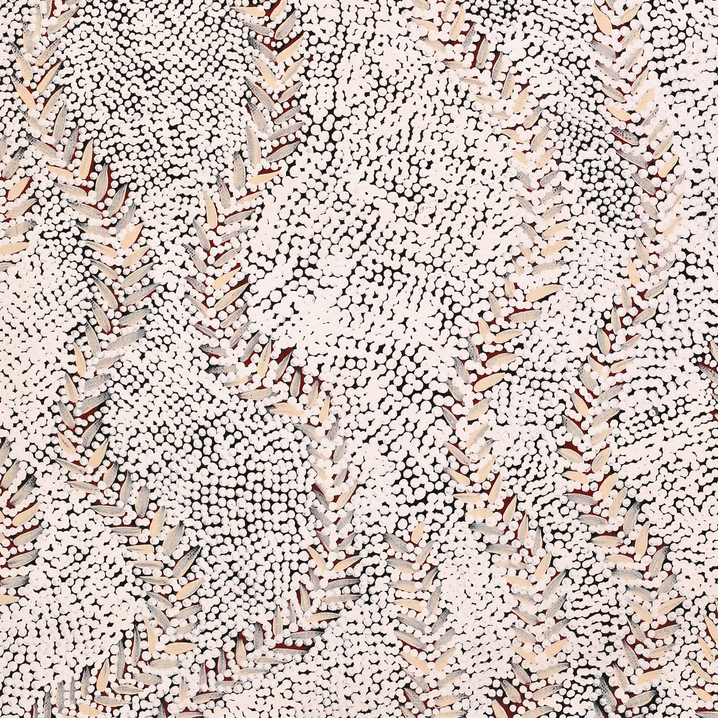 Aboriginal Artwork by Patricia Nakamarra Oldfield, Karnta Jukurrpa (Women's Dreaming) - Bush Medicine, 122x46cm