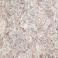 Aboriginal Artwork by Patricia Nakamarra Oldfield, Karnta Jukurrpa (Women's Dreaming) - Bush Medicine, 122x46cm