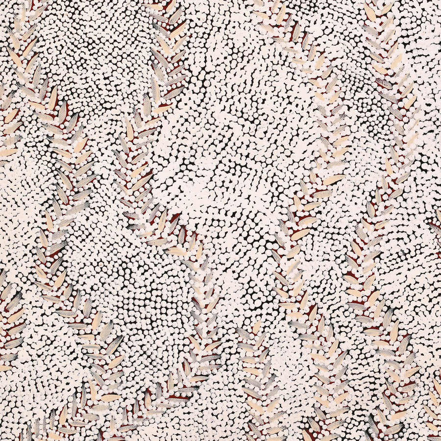 Aboriginal Artwork by Patricia Nakamarra Oldfield, Karnta Jukurrpa (Women's Dreaming) - Bush Medicine, 122x46cm